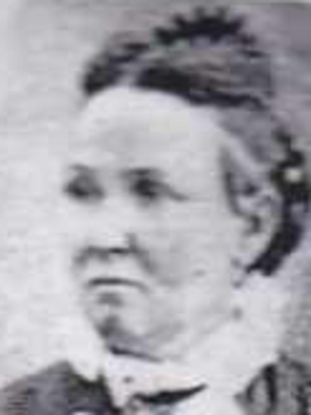 Lavina Wheeler Calkins (1815 - 1882) Profile